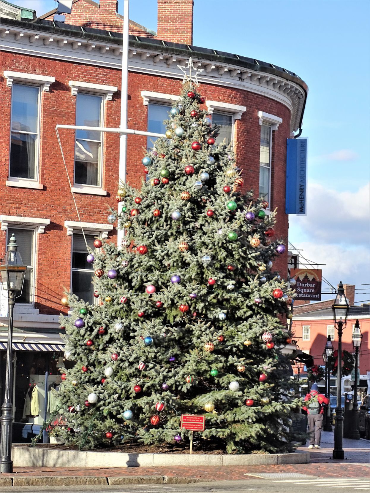 Market Square tree
